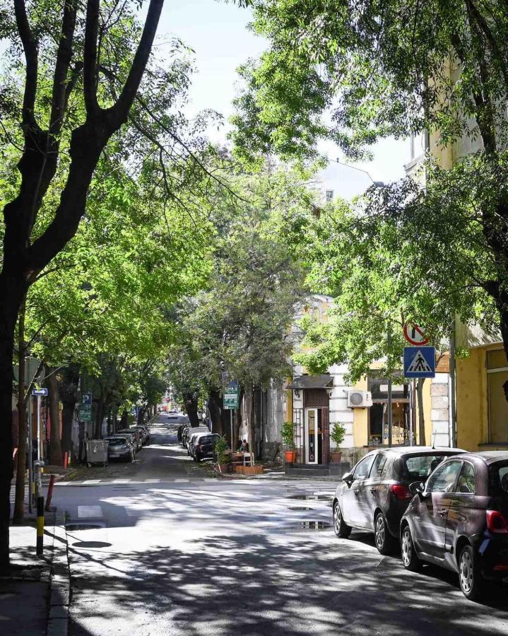 Step Apartments بلغراد المظهر الخارجي الصورة